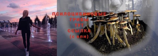 стафф Абинск
