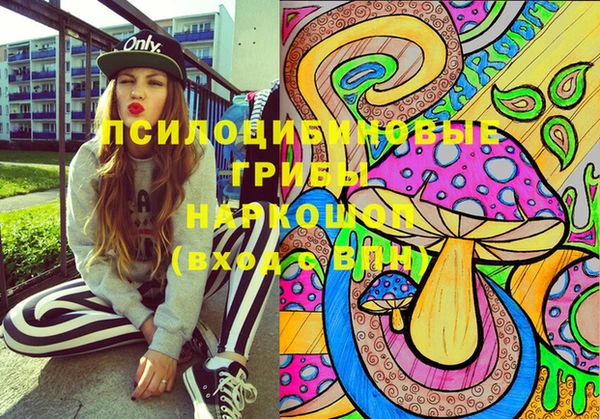 стафф Абинск